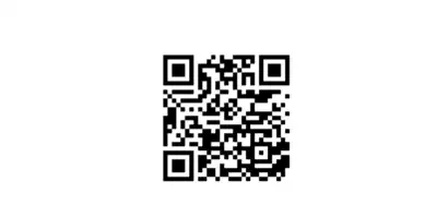 20250111_172906_0000